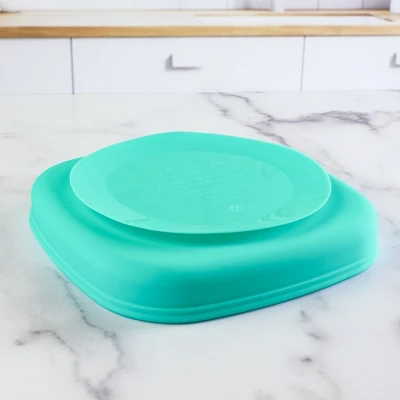 Platinum Silicone Suction Plate 4 Platinum Silicone Suction Plate - Image 4