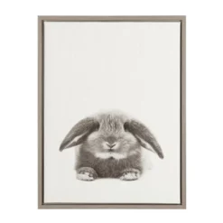 24" X 18" Rabbit Framed Canvas Art - Uniek -Kids Home Store GUEST bb38d7de 7144 440b aff3 bd2a5477e6cc